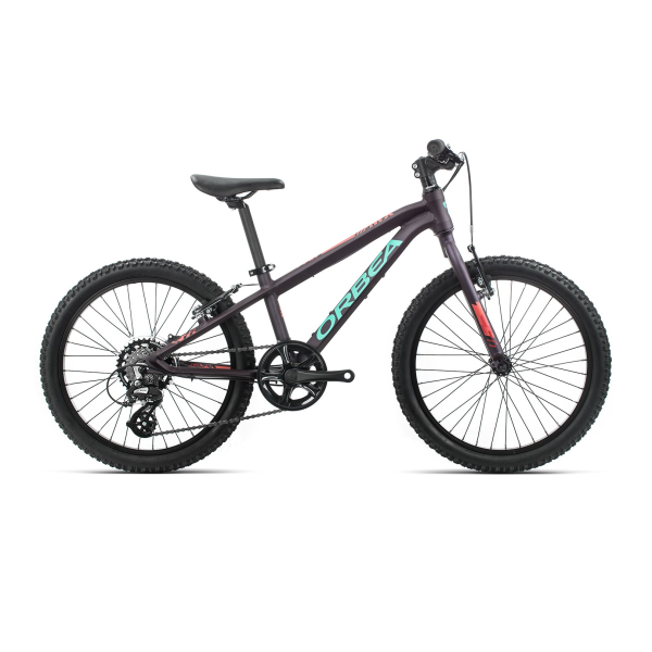 orbea mx 20 dirt