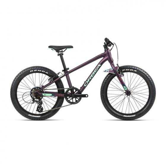 orbea mx 20 dirt